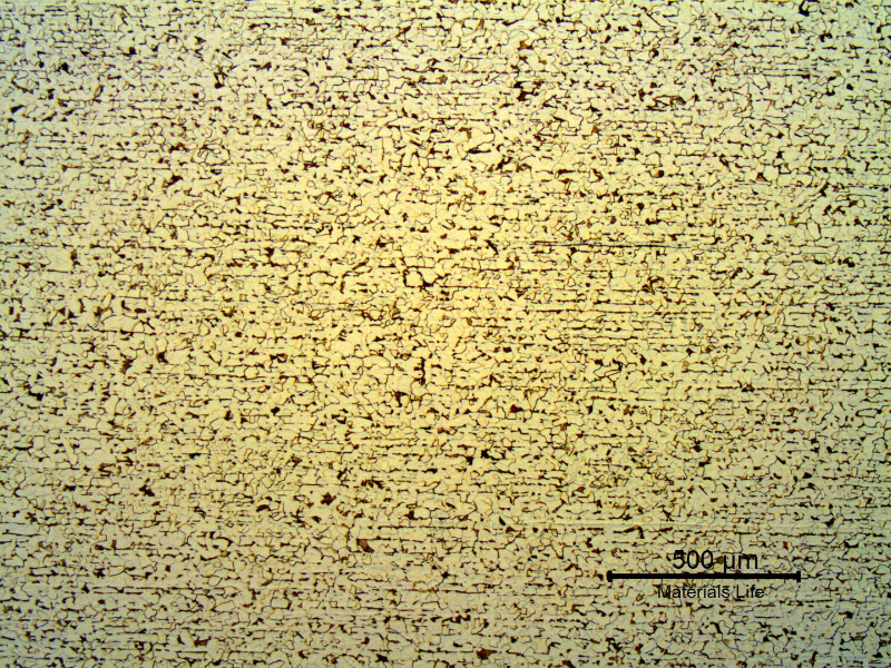 Micrography of the transverse section of the rolled shape presenting an aligned structure, ferritic-pearlitic.