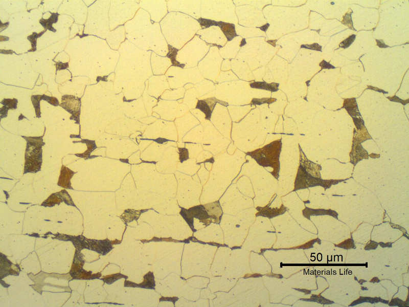 Micrographic detail of the ferritic-pearlitic structure of the angle L shape, equal legs, in the transverse section.