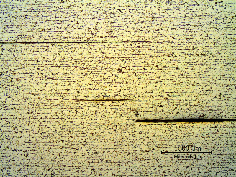 Micrography of the transverse section of the rolled shape presenting an aligned structure, ferritic-pearlitic, and long sulfide inclusions. Center of the leg of 12 mm thickness.