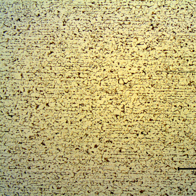 Micrography of the transverse section of the rolled shape presenting an aligned structure, ferritic-pearlitic.
