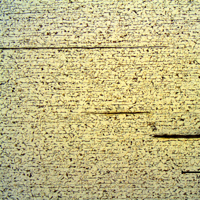 Micrography of the transverse section of the rolled shape presenting an aligned structure, ferritic-pearlitic, and long sulfide inclusions. Center of the leg of 12 mm thickness.
