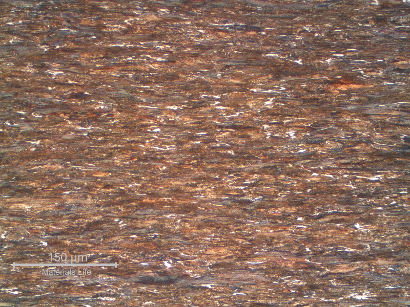 Longitudinal section of the 3.6 mm wire, presenting a strain hardened structure, predominantly perlitic.