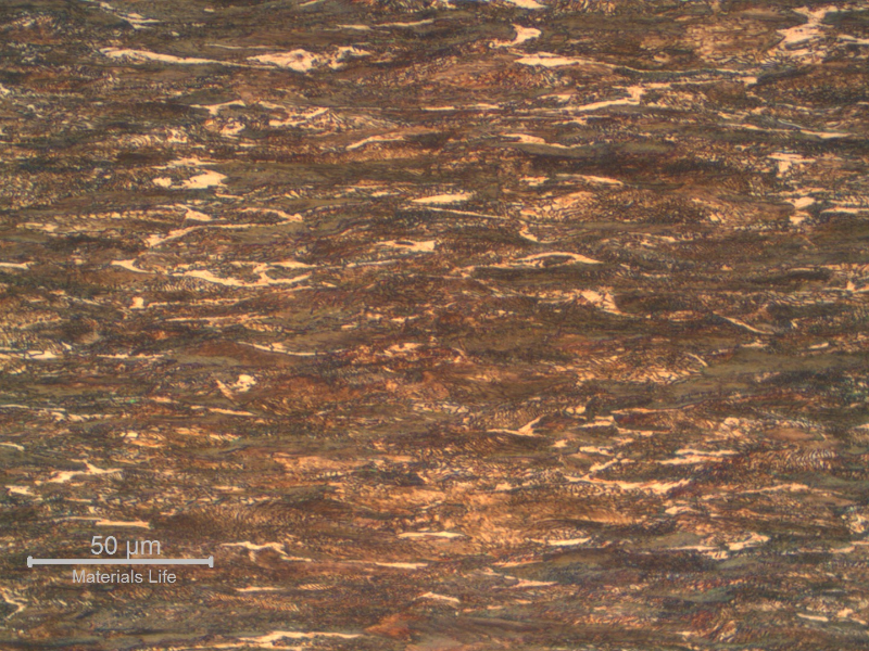 Longitudinal section of the 3.6 mm wire, presenting a strain hardened structure, predominantly perlitic.
