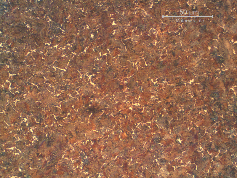 Transverse section of the 3.6 mm wire, presenting a strain hardened structure, predominantly perlitic.