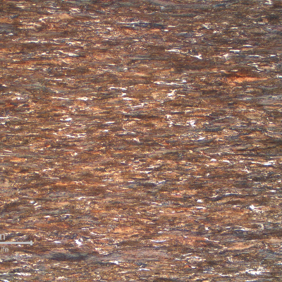 Longitudinal section of the 3.6 mm wire, presenting a strain hardened structure, predominantly perlitic.