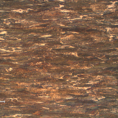 Longitudinal section of the 3.6 mm wire, presenting a strain hardened structure, predominantly perlitic.