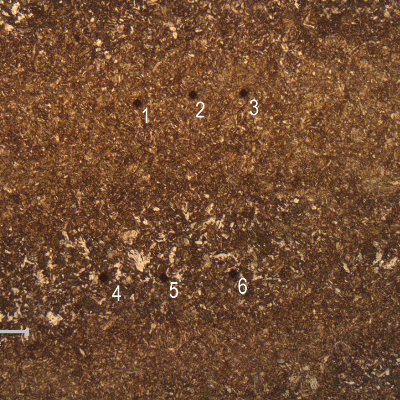 Vickers microhardness in and out of the segregation bands. The average hardness value in the band (1, 2 and 3 identations) is 354 HV 50g and out of the band (4, 5 and 6 identations) is 286 HV 50g.