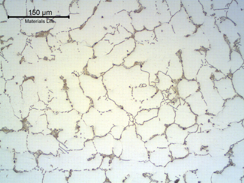 Micrography of the transverse section of the NEW TUBE, in the center of the thickness, showing the austenitic structure with primary carbides network.