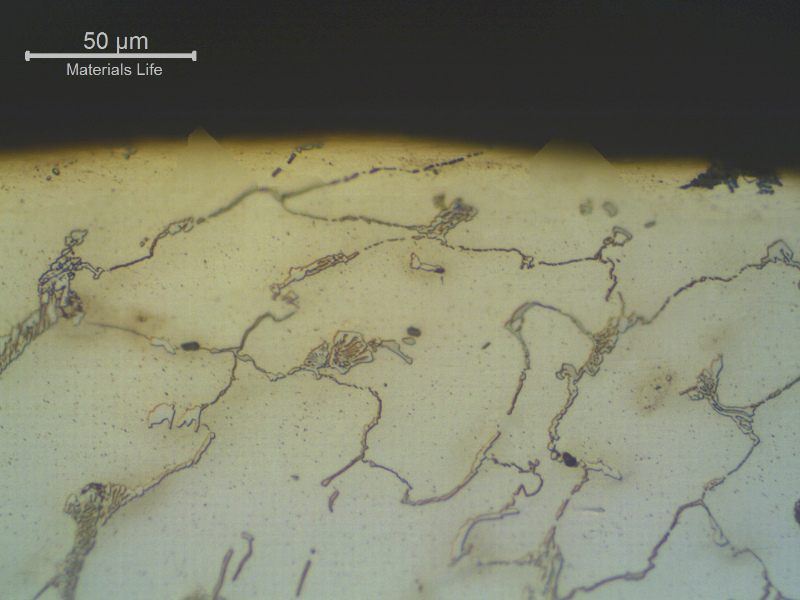 Micrography of the transverse section of the NEW TUBE, close to the external surface, showing the austenitic structure with primary carbides network.