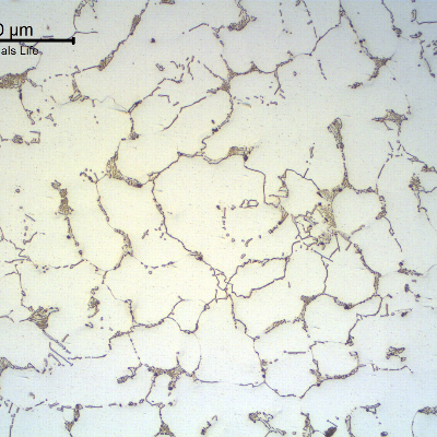 Micrography of the transverse section of the NEW TUBE, in the center of the thickness, showing the austenitic structure with primary carbides network.