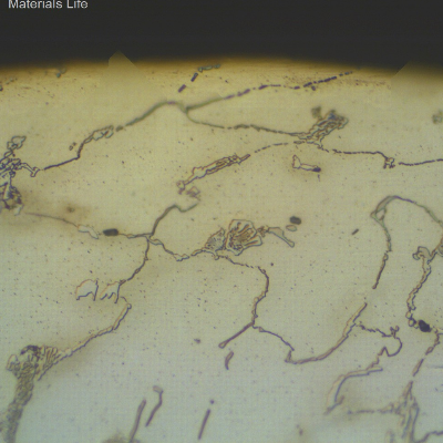 Micrography of the transverse section of the NEW TUBE, close to the external surface, showing the austenitic structure with primary carbides network.