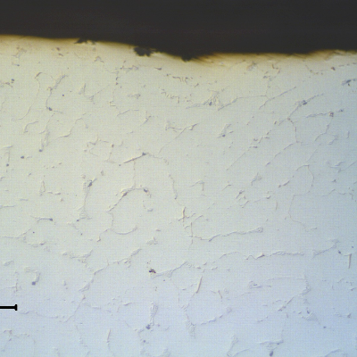 The micrography in the as polished condition of the NEW TUBE shows that there are no casting defects close to the external surface.