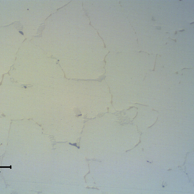 The micrography in the as polished condition of the NEW TUBE shows that there are no casting defects in the center of the thickness.