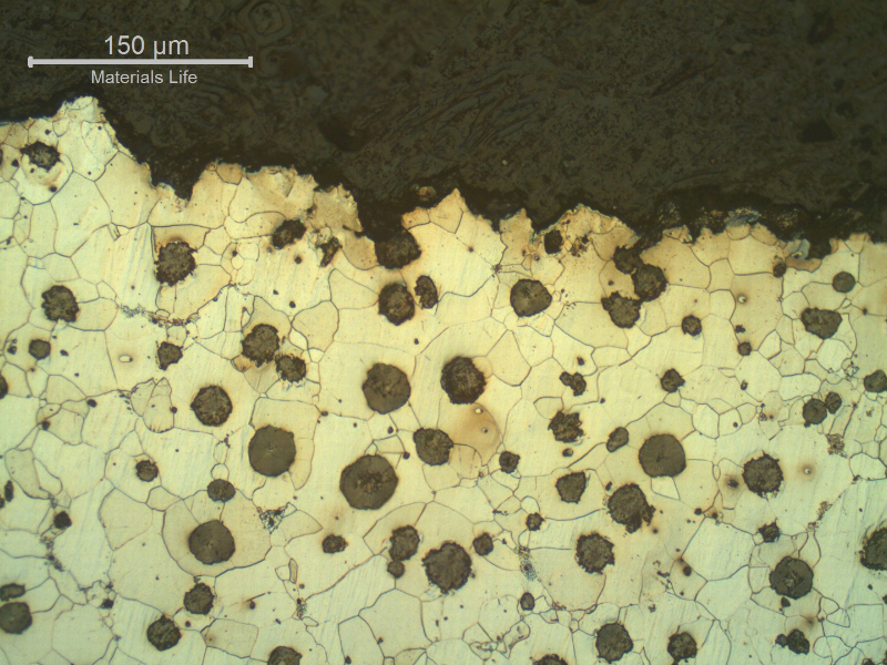 The micrography of the stem at the fracture region shows a flat fracture with transgranular clevage at the ferritic structure.