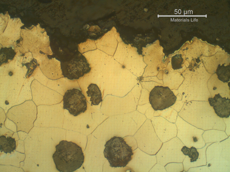 Micrography presenting a detail of the fracture surface opening to the graphite nodules.