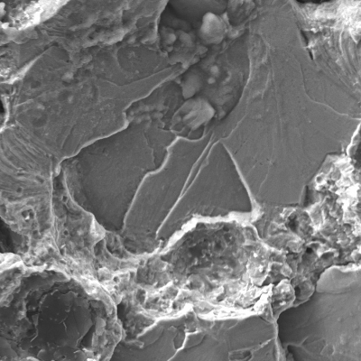 Detail of the cleavage micromechanism.