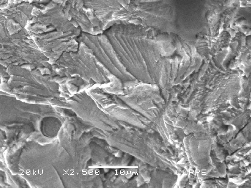 Microscopic detail of the transgranular striation in the fracture surface.