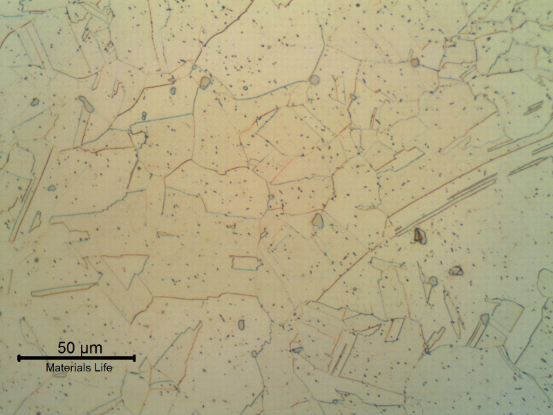 Granular austenitic structure close to the surface of the shaft.