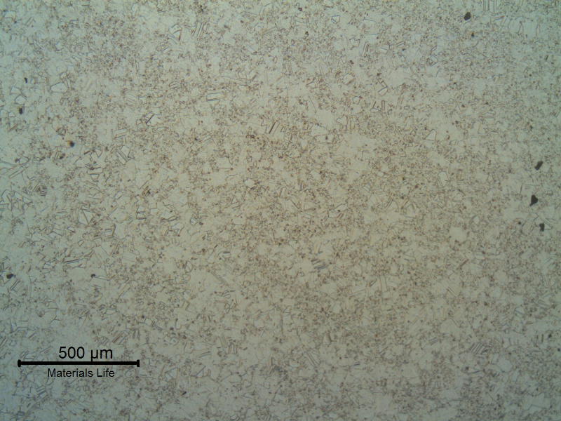 The micrography of a transverse section of the shaft shows a duplex grain size structure in the center of the shaft.