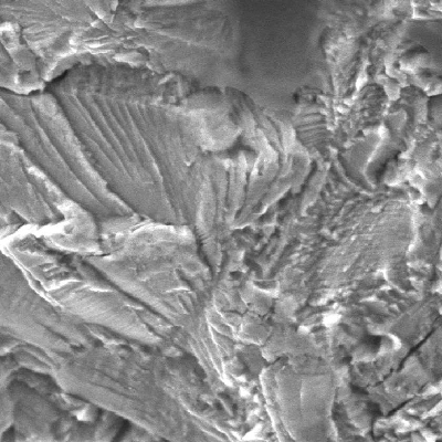 Microscopic detail of the transgranular striation in the fracture surface.