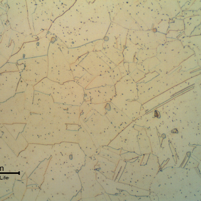 Granular austenitic structure close to the surface of the shaft.