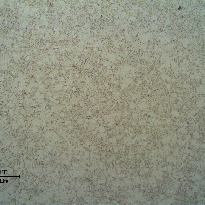 The micrography of a transverse section of the shaft shows a duplex grain size structure in the center of the shaft.