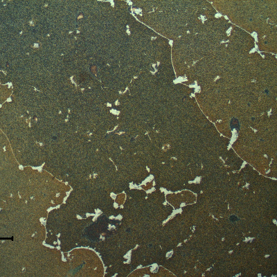 Transverse section of the blade showing large grains of this poliycristaline cast material.