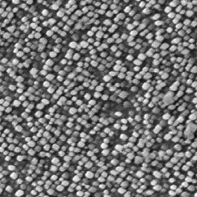 Micrography of the blade, view inside the grain. The intragranular precipitation presents one unique size of precipitation, not yet coalesced, although the blade was in high temperature service for 50.000 hours. Etched by H2SO4 + HNO3 + H3PO4 reagent.