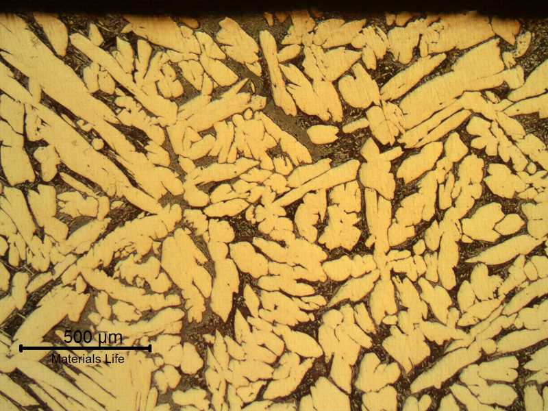 The micrography of the transverse section shows coarse grains and biphasic structure. Alpha grains and a lamellar eutectoid structure can be observed in the material.