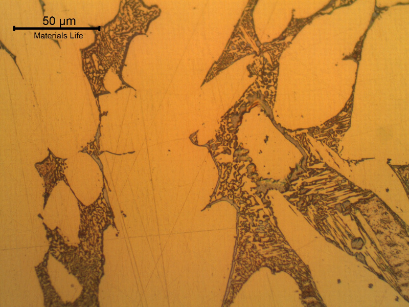 Detail of the structure in the center of the thickness. Alpha grains and lamellar eutectoid structure.