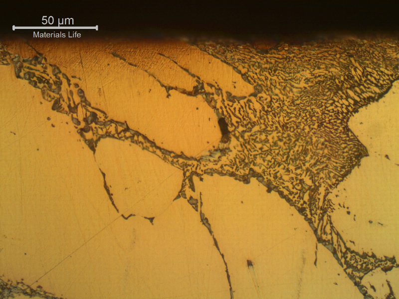 Micrographic detail of the structure at the external surface.