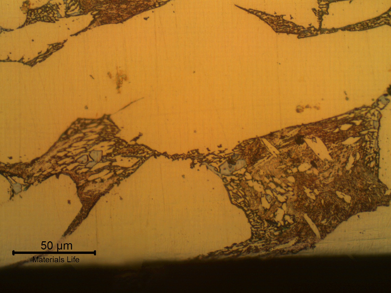 Micrographic detail of the structure at the internal surface.