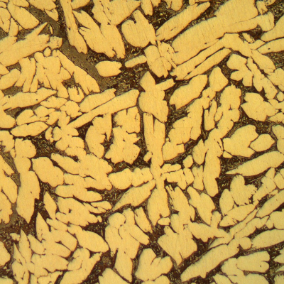 The micrography of the transverse section shows coarse grains and biphasic structure.  Alpha grains and a lamellar eutectoid structure can be observed in the material.