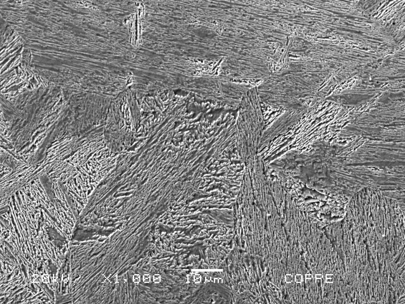 Fusion line micrographic detail. The weld metal is in the right and HAZ in the left.