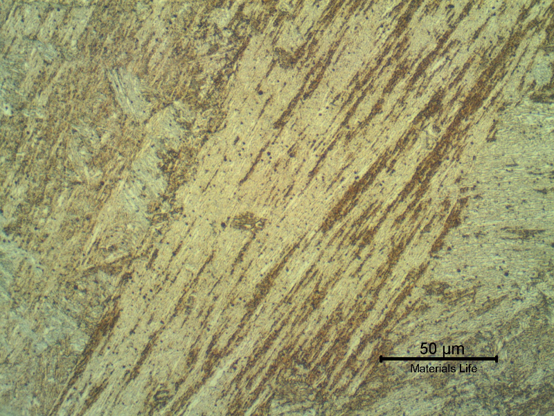 Micrographic detail of the tempered martesite weld metal close to the fusion line. The columnar grains can be observed .
