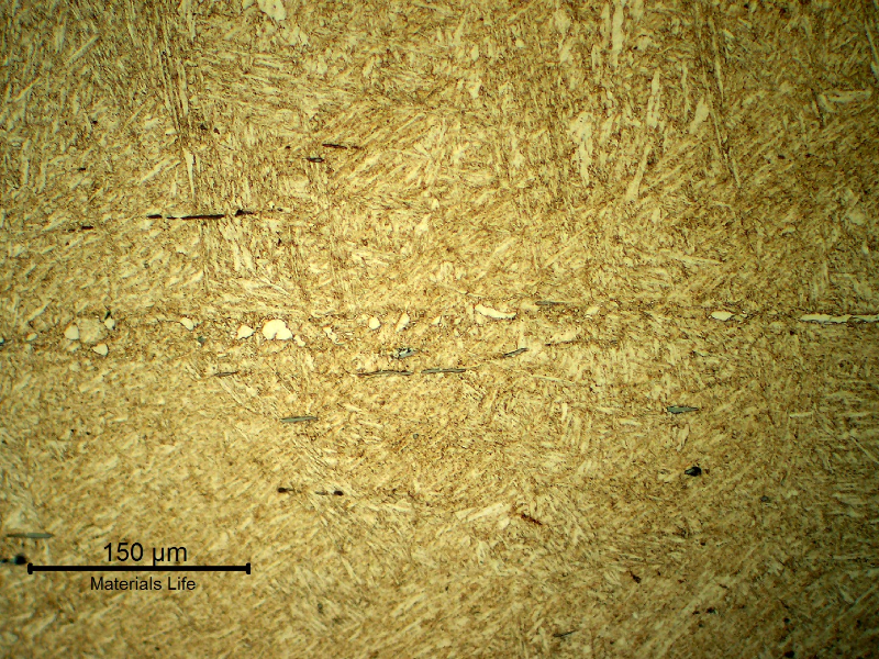Micrographic detail of the pin structure, in the longitudinal section, at the segregated band with aligned inclusions and phases, delta ferrite and carbides.