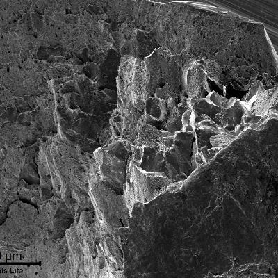 Detail of the pin fracture surface, presenting both a flat aspect and a rough aspect in a shearing section of 2.5 mm width.