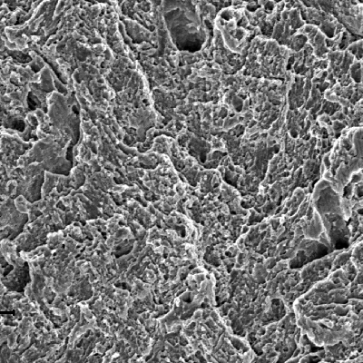 Fracture appearance in a sheared region, presenting a ductile morphology for the fracture micromechanism.