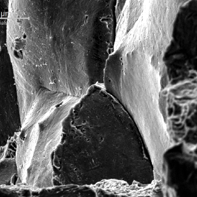 Fracture appearance in a brittle region, presenting an intergranular morphology.