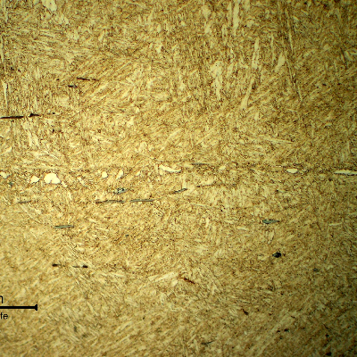 Micrographic detail of the pin structure, in the longitudinal section, at the segregated band with aligned inclusions and phases, delta ferrite and carbides.