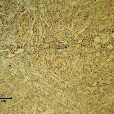 Micrographic detail of the pin structure, in the longitudinal section, presenting a martensitic matriz, aligned inclusions (grey, delta ferrite islands (poligonal white phases) and carbides (also white phases) surrounding the delta ferrite.