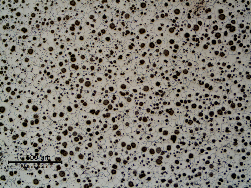 Micrography of CAP B, showing graphite in nodules and ferritic matrix.
