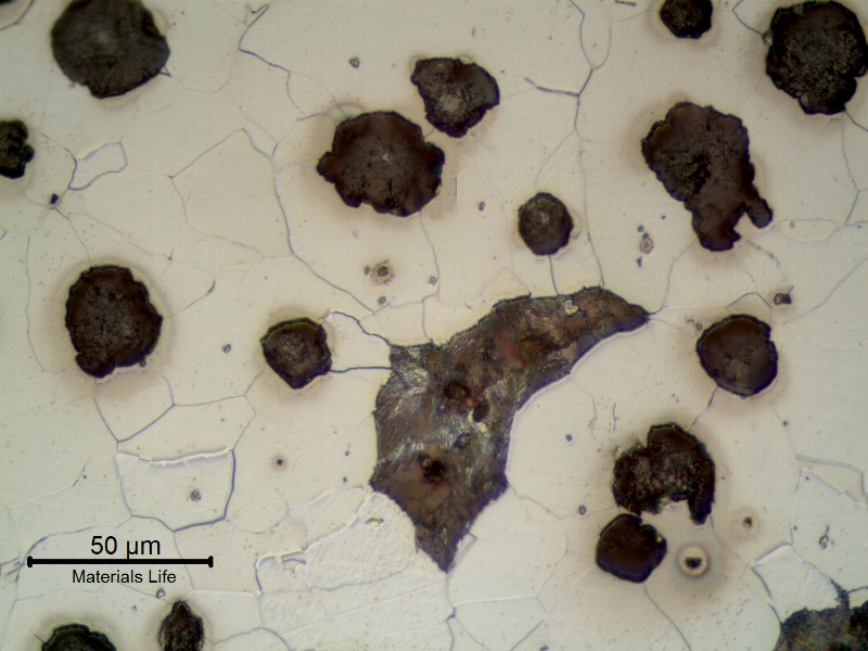 Detail of CAP C microstructure. Graphite in nodules and ferritic-perlitic matrix.