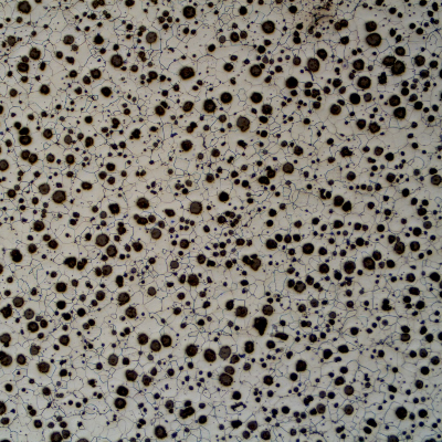 Micrography of CAP B, showing graphite in nodules and ferritic matrix.
