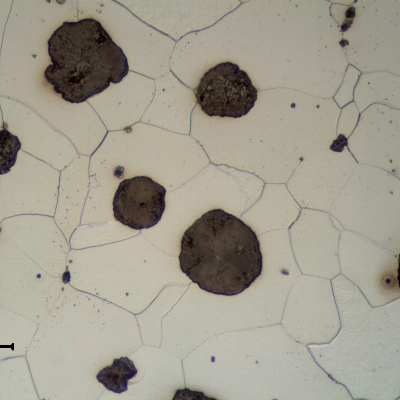 Detail of CAP B microstructure. Graphite in nodules and ferritic matrix. Small sulphide inclusions (grey).