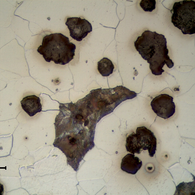 Detail of CAP C microstructure. Graphite in nodules and ferritic-perlitic matrix.