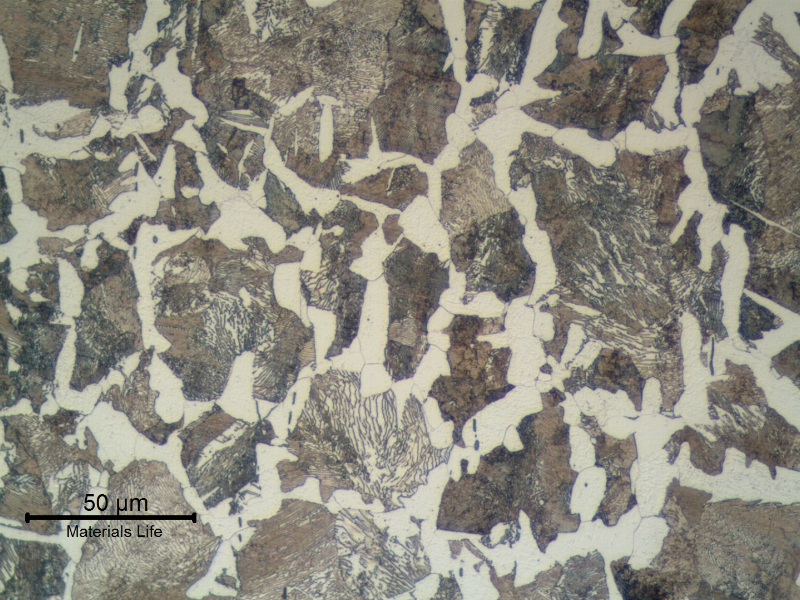 Detail of Pin A microstructure. Ferritic-perlitic.