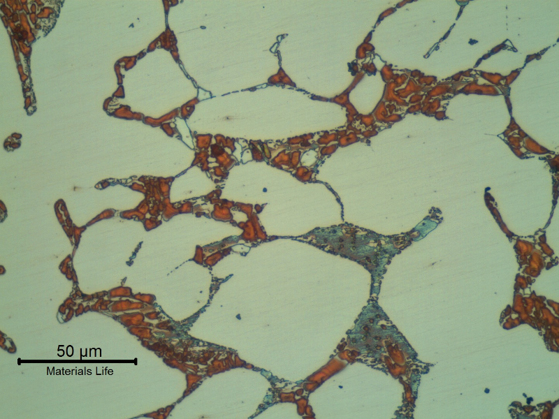 Micrographic detail of the flange base metal presenting a coarse duplex ferritic austenitc structure. Detrimental phases associated to the ferritic structure.
