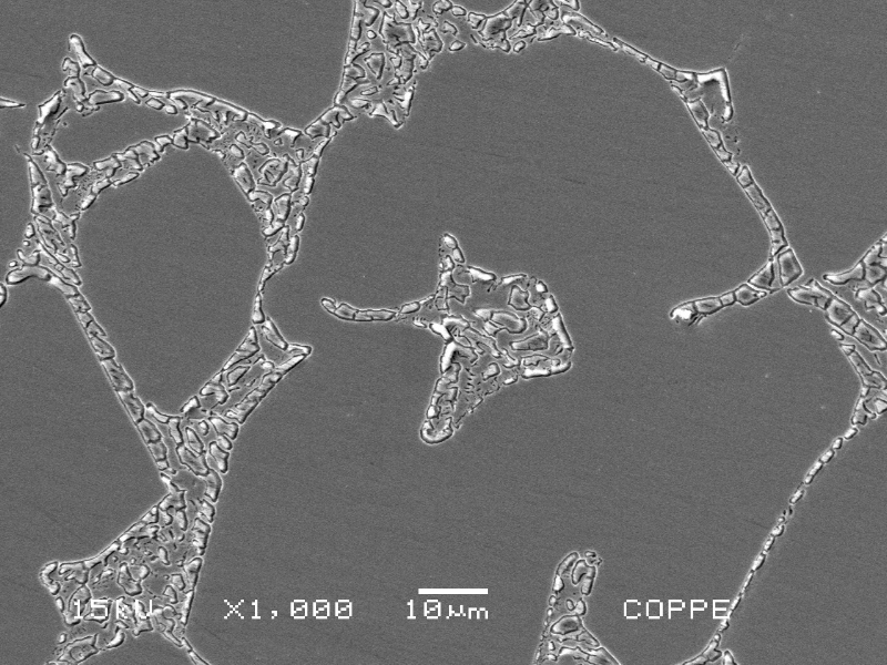 Micrographic detail of the flange base metal presenting a coarse duplex ferritic austenitc structure and detrimental phases associated to the ferritic structure.