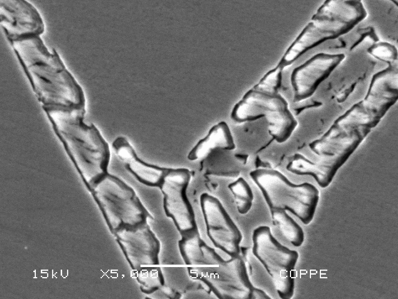 Micrographic detail of the flange base metal presenting a coarse duplex ferritic austenitc structure and detrimental phases associated to the ferritic structure.